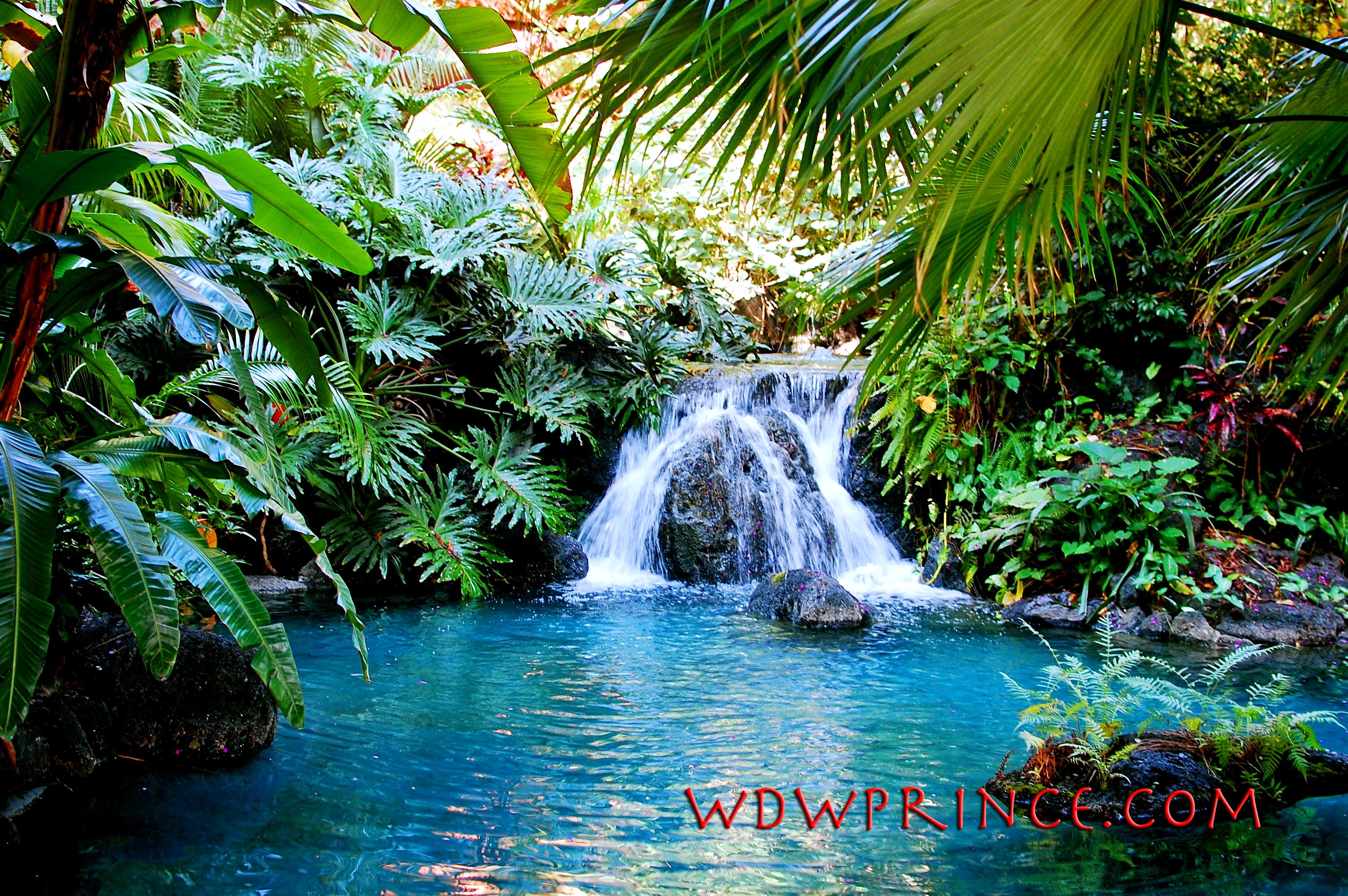 Водопад природа вода деревья тропики скачать